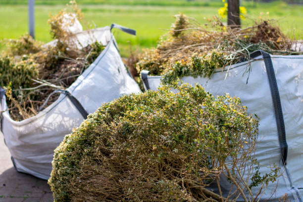 Best Same-Day Junk Removal  in Arden On The Severn, MD